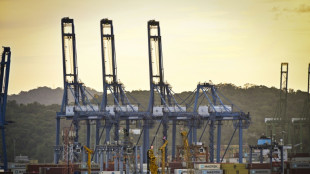 El presidente de Panam&aacute; busca un nuevo contrato con una empresa hongkonesa para operar puertos en el canal