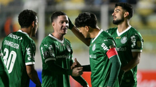 Palmeiras luta por vaga antecipada nas oitavas da Libertadores contra o Cerro Porte&ntilde;o