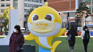 La Corte Suprema surcoreana falla que la pegajosa canción "Baby Shark" no constituye plagio