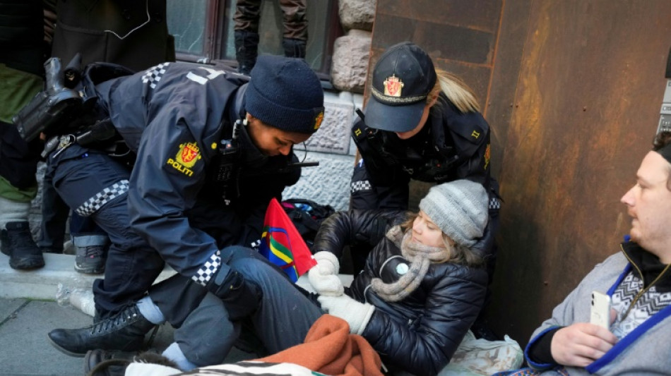 Greta Thunberg en pointe d'une action contre des &eacute;oliennes en Norv&egrave;ge