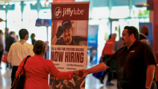 Stocks climb on reassuring jobs data, US-China trade optimism