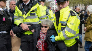 Plus de 500 manifestants soutenant le groupe Palestine Action arr&ecirc;t&eacute;s &agrave; Londres 