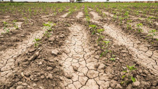 Siccità in aumento nel mondo da 121 anni, impennata dal 2018