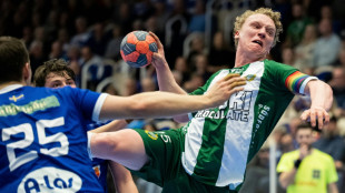 L&ouml;wen verpflichten Schweden Davidsson