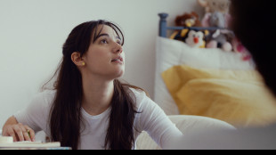 Alice nella citt&agrave;, da Jeremy Renner al film su Giulia Cecchettin