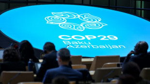 Climat: l'heure de v&eacute;rit&eacute; &agrave; Bakou pour l'accord financier pour les pays pauvres