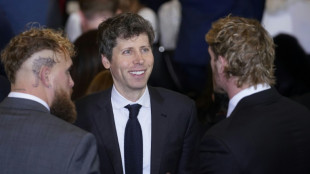 Quanto tempo pode durar a febre dos investimentos em IA?