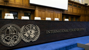 La CIJ ouvre les audiences sur les obligations humanitaires d'Israël