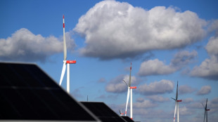 Verbände dringen auf zusätzliche Klima-Investitionen aus Sondervermögen