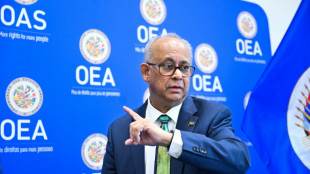 Secret&aacute;rio-geral da OEA pede coordena&ccedil;&atilde;o e financiamento para apoiar o Haiti
