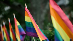 Fundraising shift at NY pride as Trump scares off corporate donors