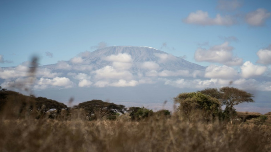 Tanzanie: l'incendie sur le Kilimandjaro est "ma&icirc;tris&eacute;"
