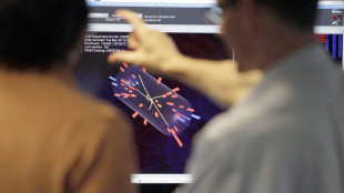 Università, anche 41 fisici torinesi nel maxi premio al Cern