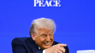 Trump takes Davos on wild ride