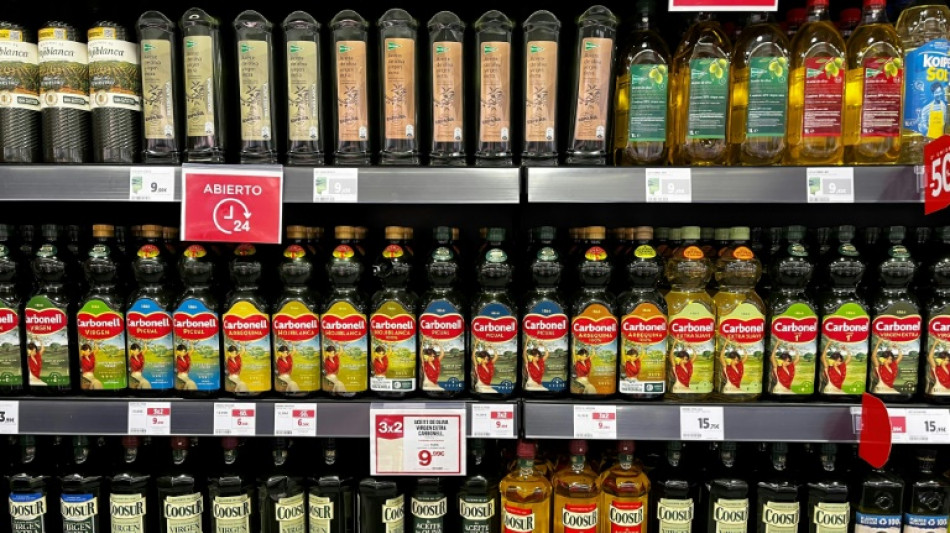 Com alta dos pre&ccedil;os, setor do azeite busca solu&ccedil;&otilde;es para crise clim&aacute;tica