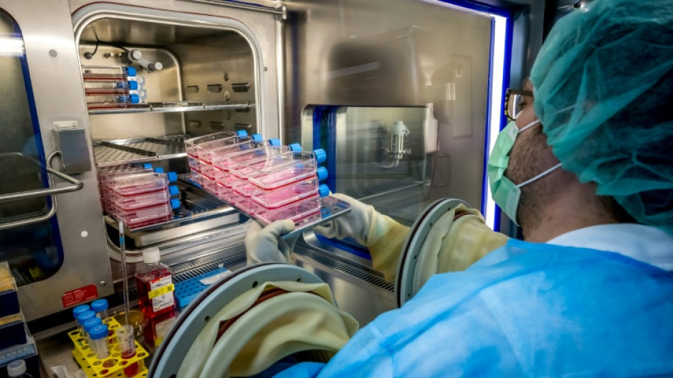 Suiza intensifica su producci&oacute;n de piel para los grandes quemados del incendio de A&ntilde;o Nuevo