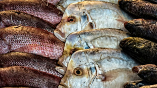 Schwarzarbeit in Fischrestaurant: Paar soll 18.000 Euro Grundsicherung zur&uuml;ckzahlen