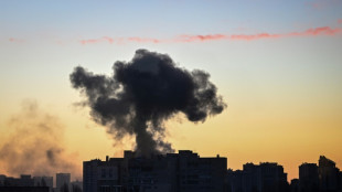 Ukraine lehnt Neutralit&auml;t nach Vorbild Schwedens und &Ouml;sterreichs ab