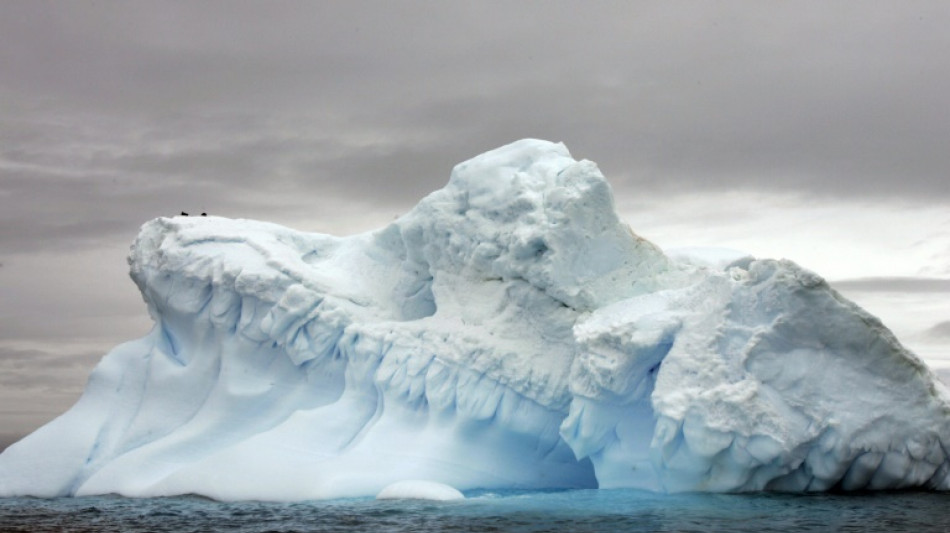 Plus de 40% des plateformes de glace de l'Antarctique ont r&eacute;tr&eacute;ci en 25 ans, selon une &eacute;tude