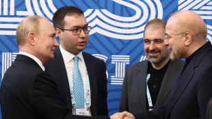 Cremlino non conferma n&egrave; smentisce missili dall'Iran