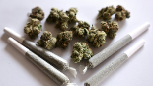 Drogenbeauftragter Streeck fordert Rückkehr zu strengeren Cannabis-Regeln