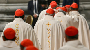 Ces cardinaux en vue au conclave qui élira le prochain pape