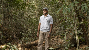 La lucha de 30 años de un hombre para salvar a los chimpancés huérfanos de Sierra Leona