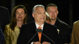 Les Hongrois nombreux &agrave; voter, Orban face &agrave; une opposition unie