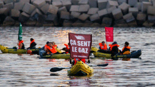 A Marseille, une action de blocage en mer contre la "pollution" des navires de croisi&egrave;res