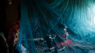 L'OMS juge s&ucirc;r et efficace un deuxi&egrave;me vaccin antipaludique pour les enfants