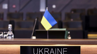 Polens Vorschlag f&uuml;r Nato-"Friedensmission" st&ouml;&szlig;t auf Skepsis