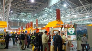 Karbon-X feiert in seinem Mangroven-Wiederaufforstungsprojekt im Senegal einen großen Meilenstein